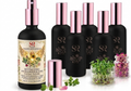 Botanical Hydrosol Toner 3.4 oz